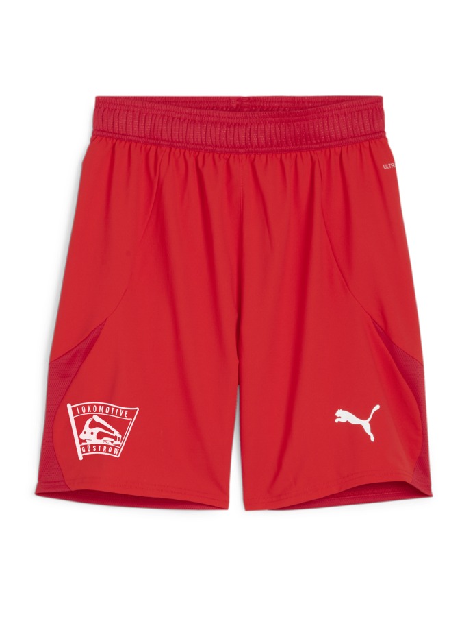 PUMA teamFINAL Shorts