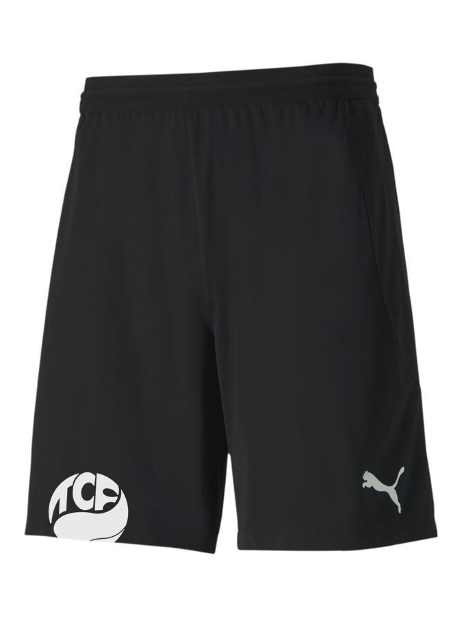PUMA teamFINAL 21 Knit Shorts