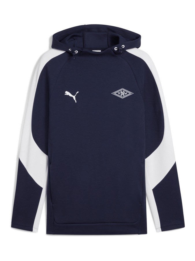 PUMA teamEVOSTRIPE Hoody
