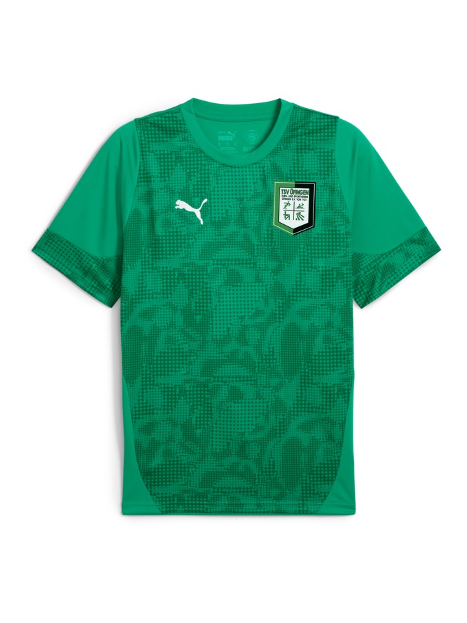 PUMA teamCUP Trainingsshirt