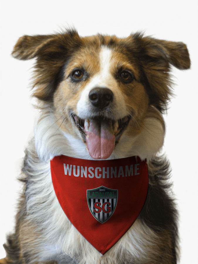 Hundehalstuch