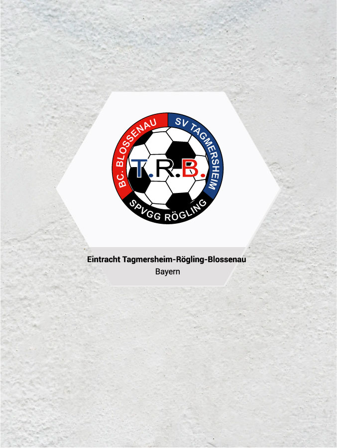 Wandkachel Hexagon mit Logo
