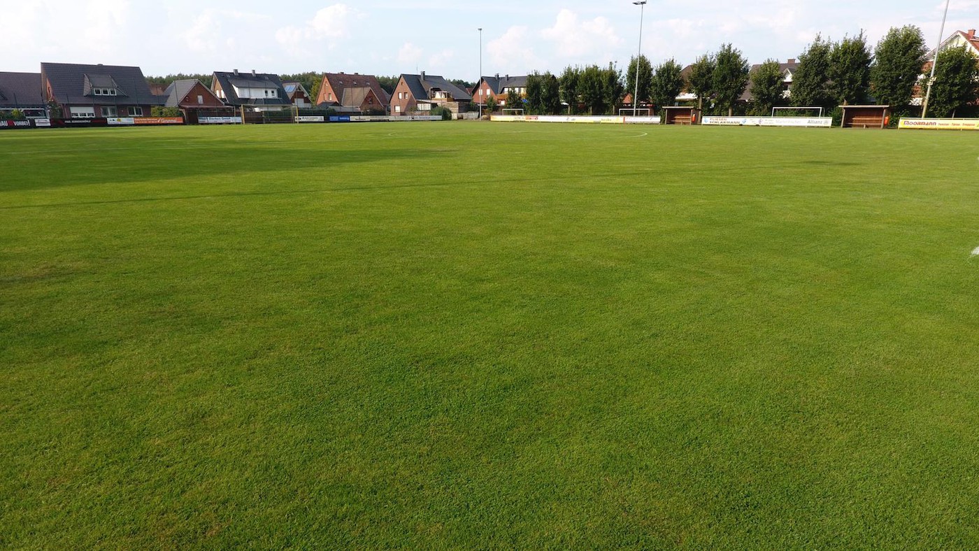 Individuelles Vereinsbild