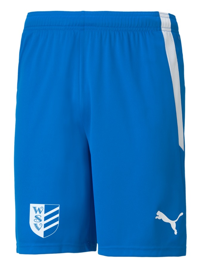 PUMA teamLIGA Shorts