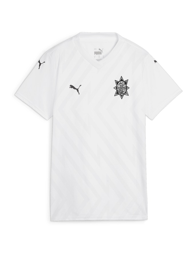 PUMA teamGLORY Trikot Damen