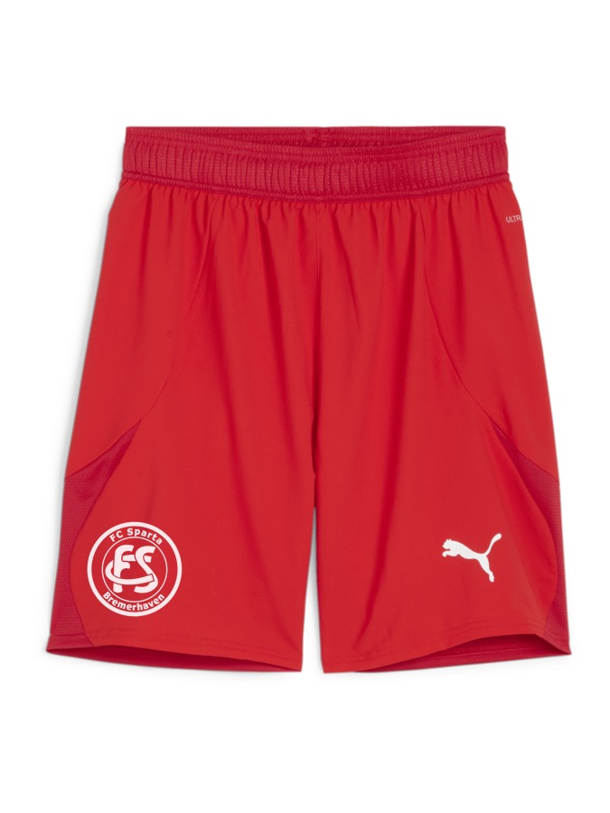 PUMA teamFINAL Shorts