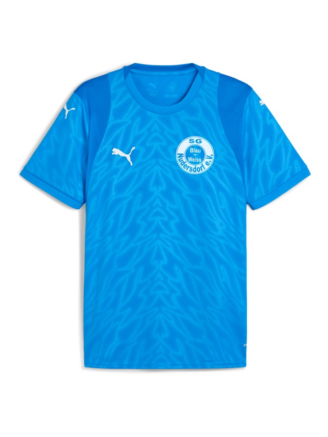 PUMA teamCUP Trikot