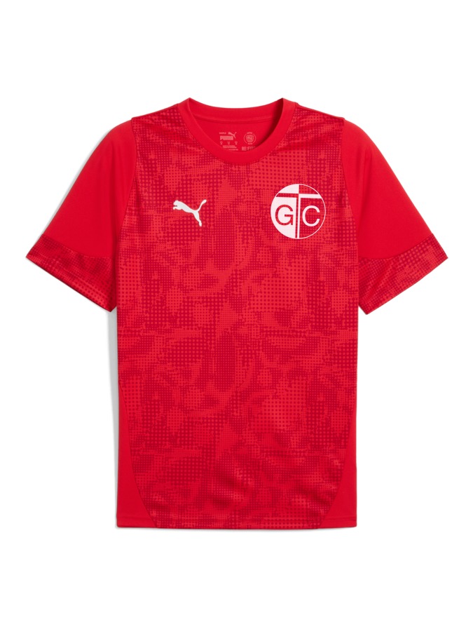 PUMA teamCUP Trainingsshirt