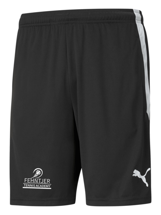 PUMA teamLIGA Training Shorts