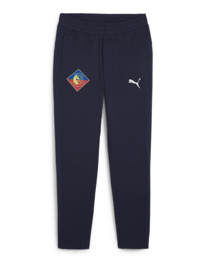 PUMA teamFINAL Casuals Hose