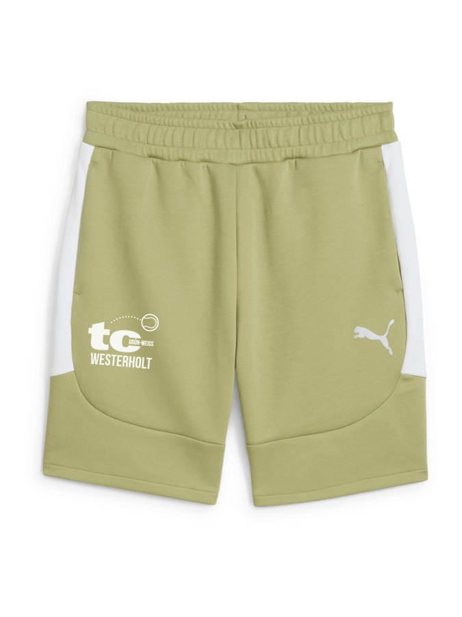 PUMA teamEVOSTRIPE Shorts