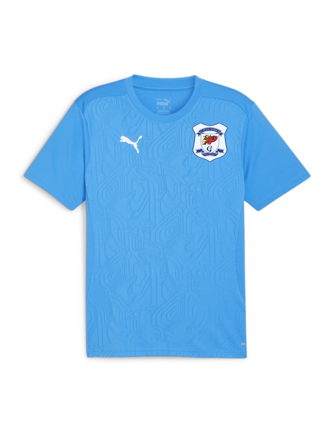 PUMA teamFINAL Trainingsshirt