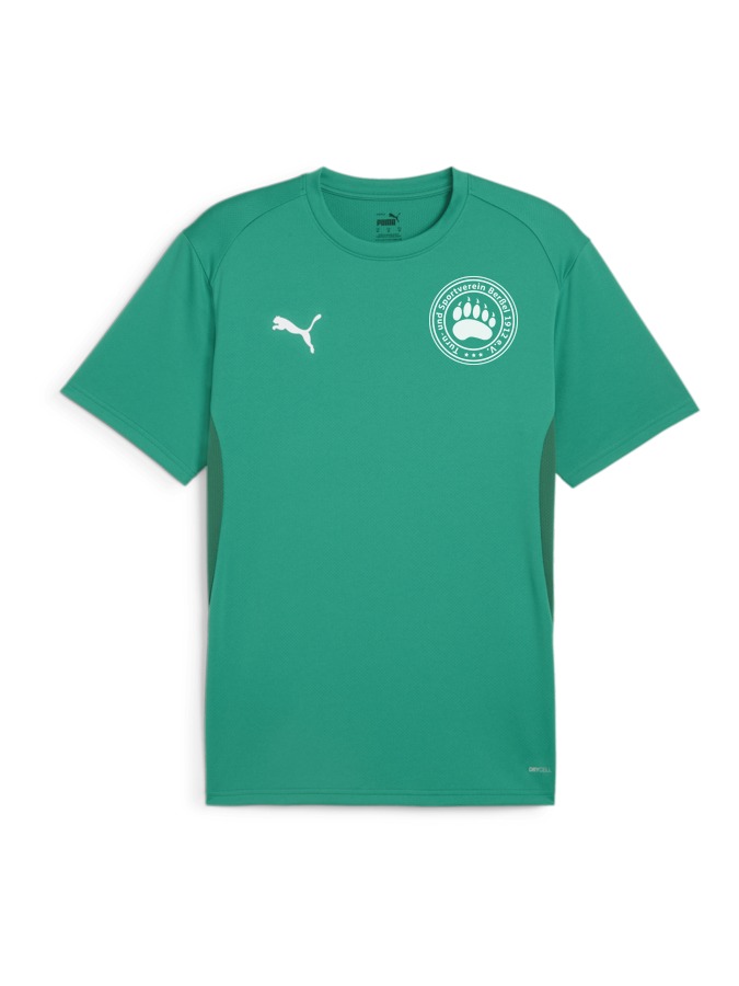 PUMA teamGOAL Trikot