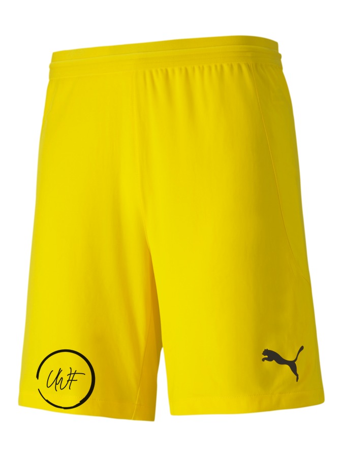 PUMA teamFINAL 21 Knit Shorts