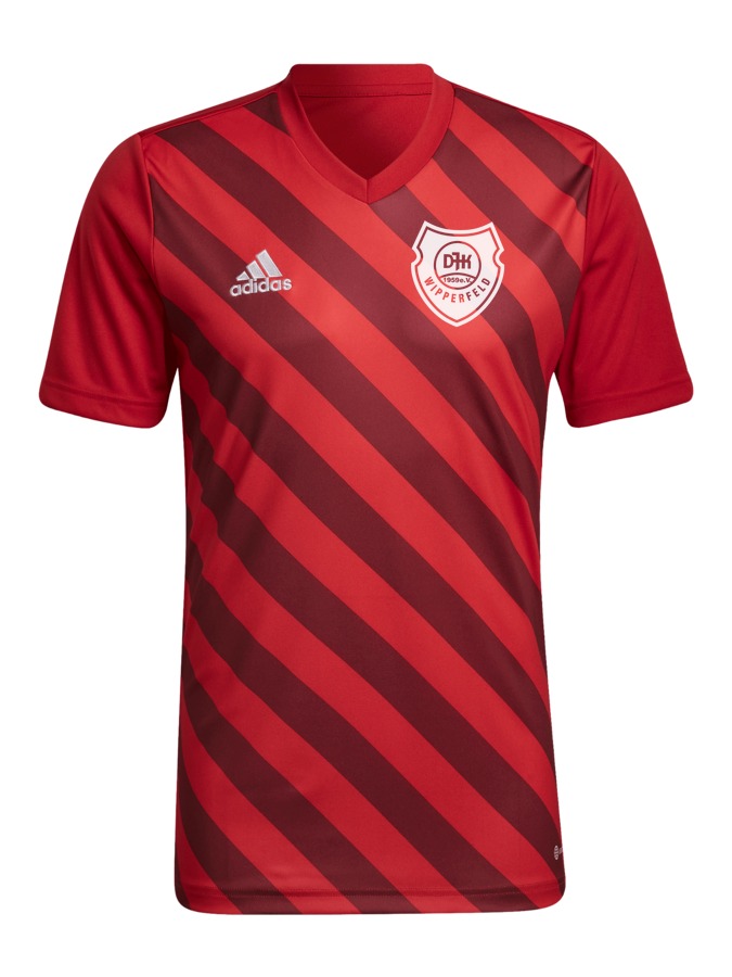 adidas Entrada 22 GFX Trikot