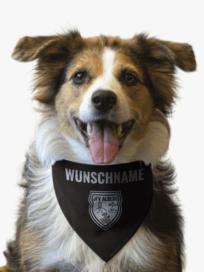 Hundehalstuch