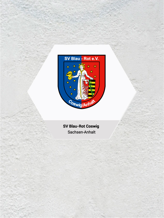 Wandkachel Hexagon mit Logo