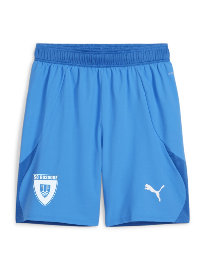 PUMA teamFINAL Shorts