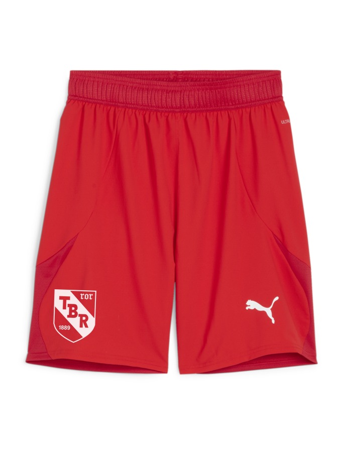 PUMA teamFINAL Shorts