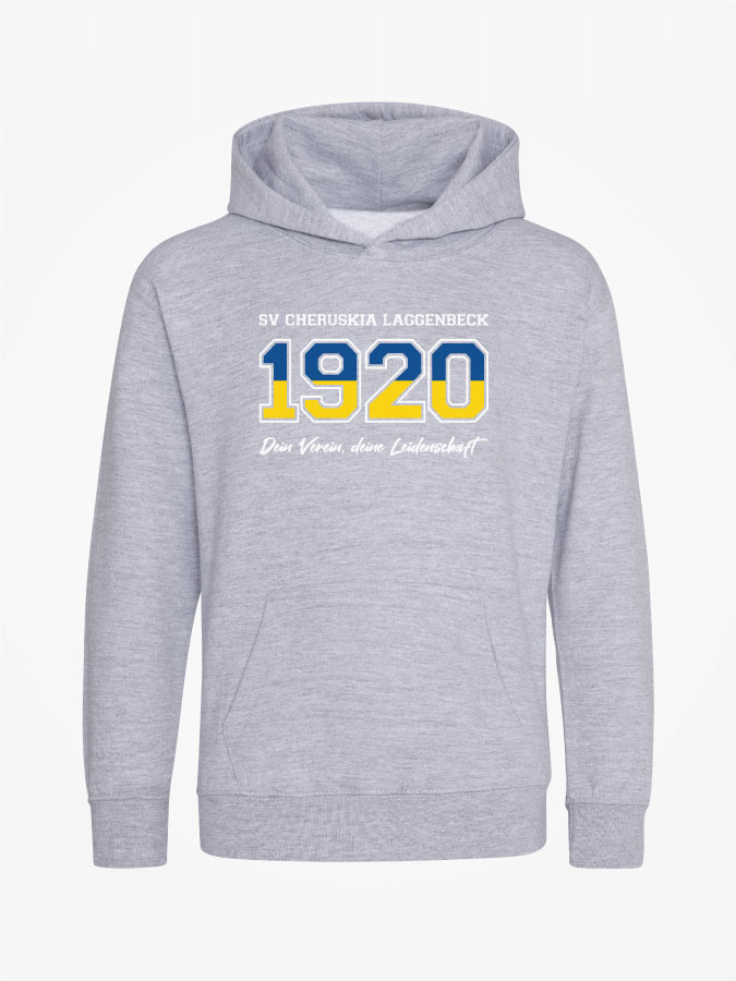 Hoodie Established Kids