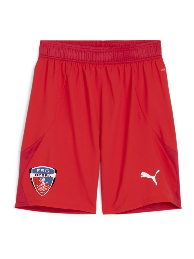 PUMA teamFINAL Shorts