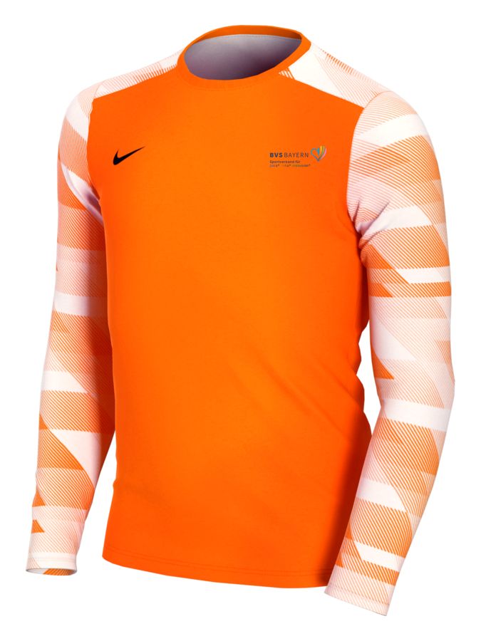 Nike Park IV Torwarttrikot Langarm Kinder