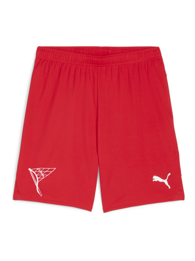 PUMA teamGOAL Shorts