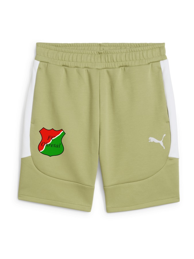 PUMA teamEVOSTRIPE Shorts