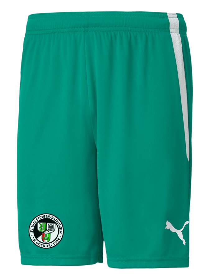 PUMA teamLIGA Shorts