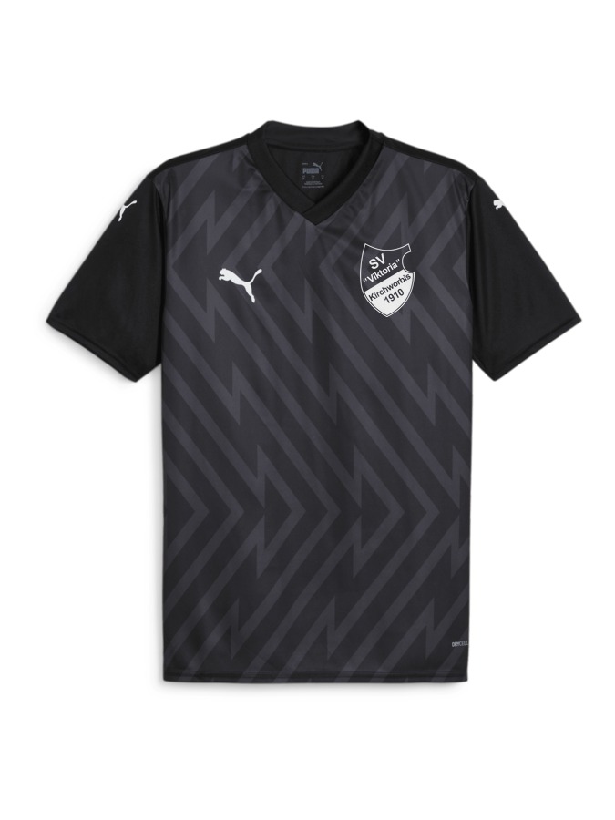PUMA teamGLORY Trikot