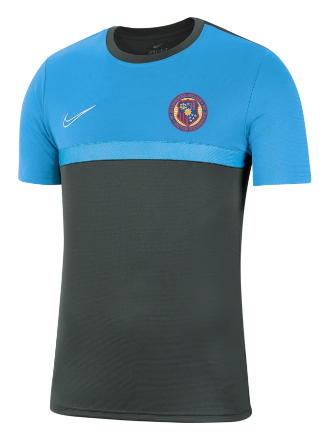 Nike Academy Pro 21 Shirt