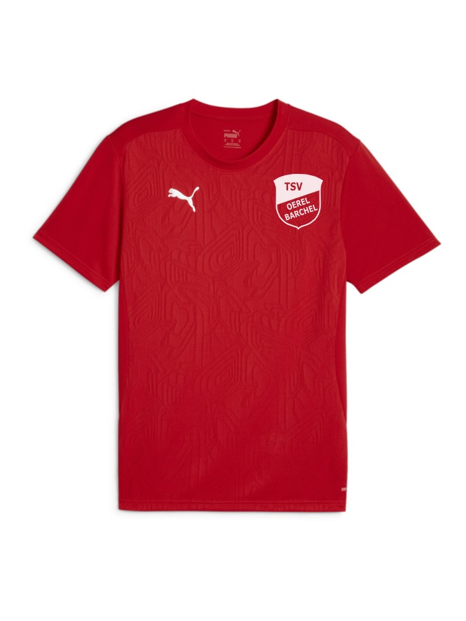 PUMA teamFINAL Trainingsshirt