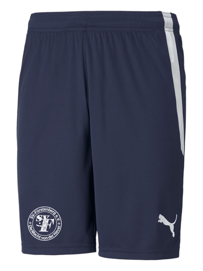 PUMA teamLIGA Shorts