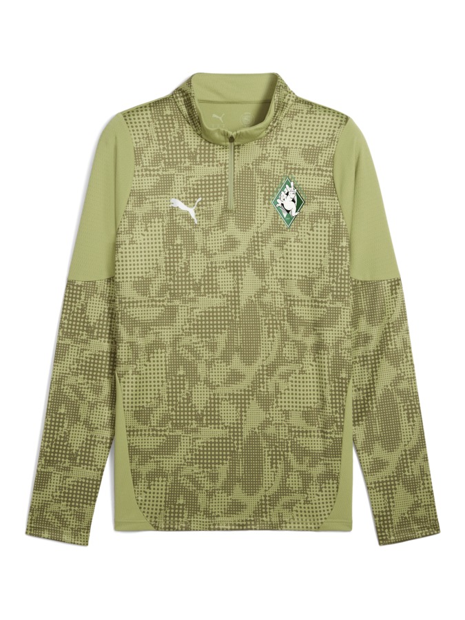 PUMA teamCUP Training 1/4-Zip-Top