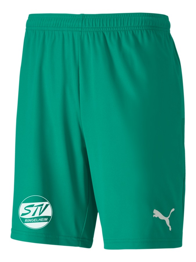 PUMA teamGOAL 23 Knit Shorts