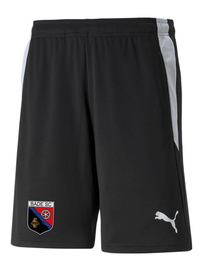 PUMA teamLIGA Referee Shorts