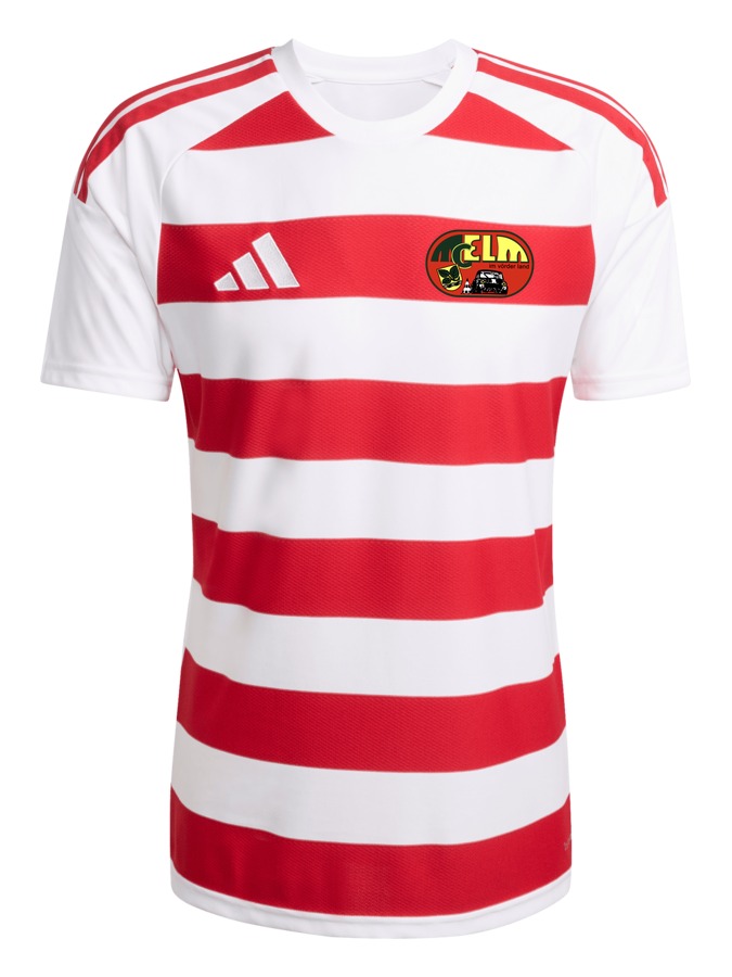 adidas Hooped 26 Trikot