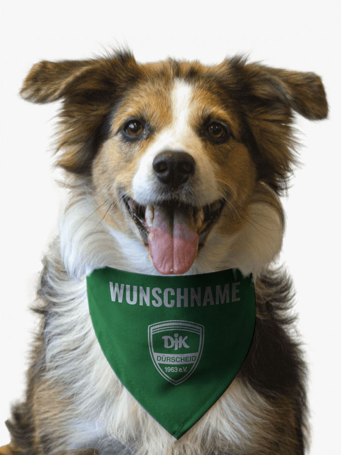 Hundehalstuch
