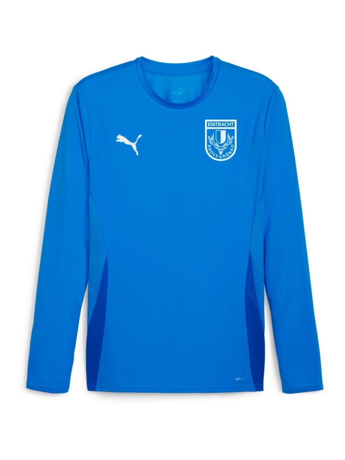 PUMA teamGOAL Longsleeve Trikot