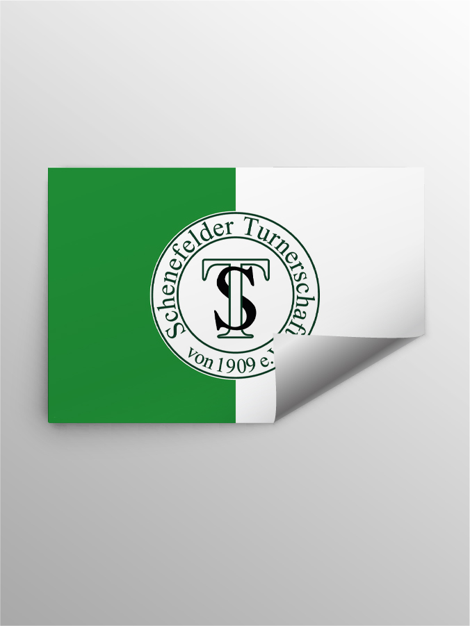 STIC I1