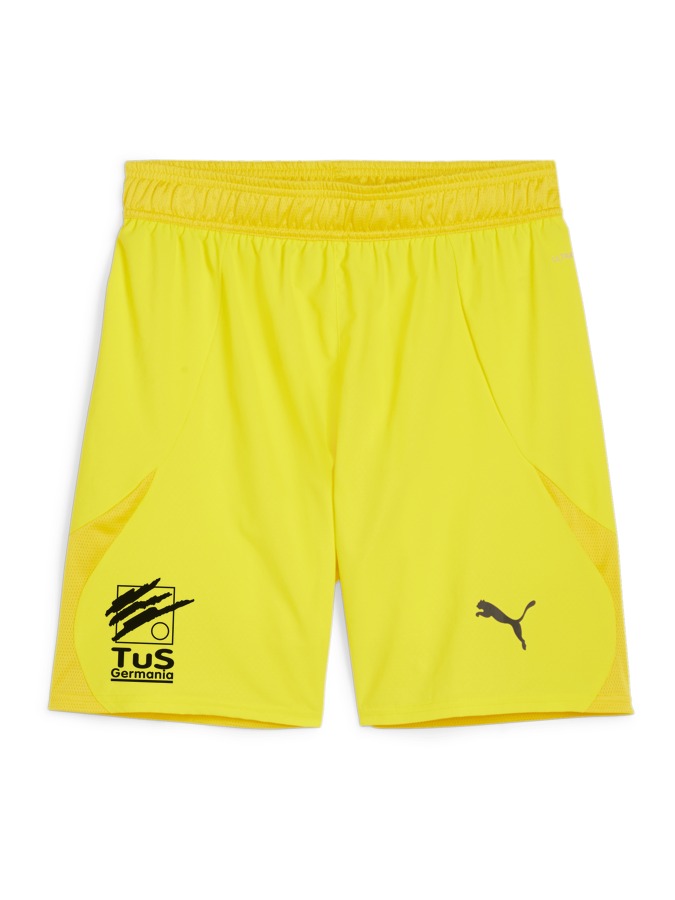 PUMA teamFINAL Shorts