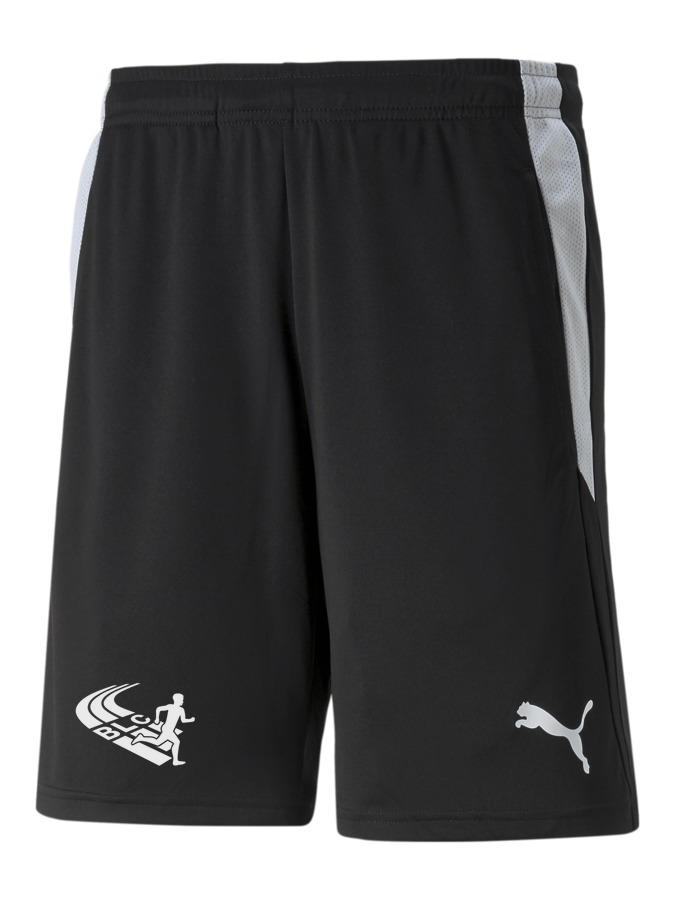 PUMA teamLIGA Referee Shorts