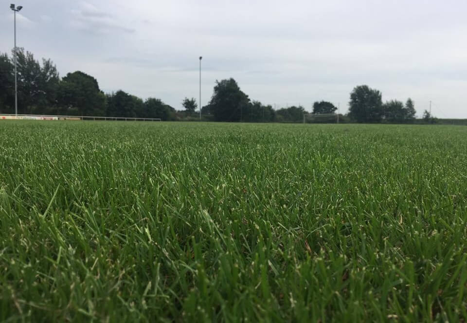 Individuelles Vereinsbild