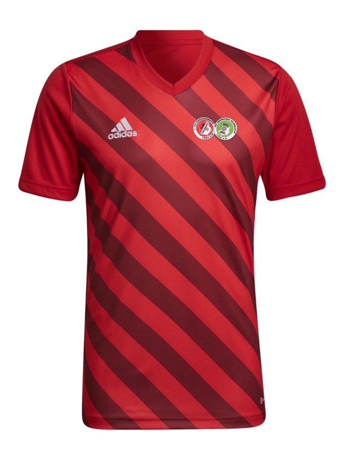 adidas Entrada 22 GFX Trikot