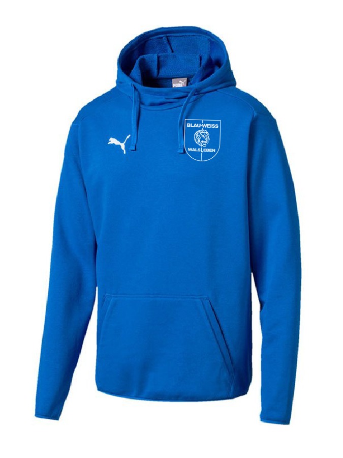 Puma Liga Casuals Hoody