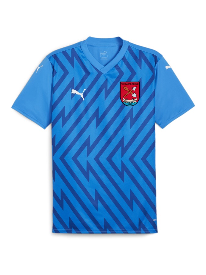 PUMA teamGLORY Trikot