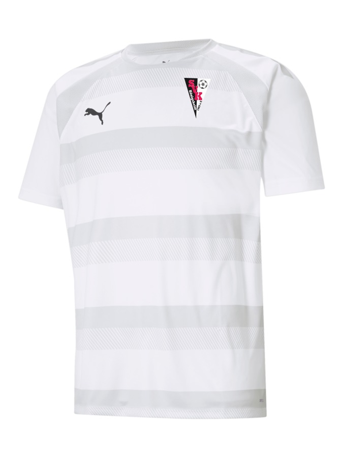 PUMA teamVISION Trikot