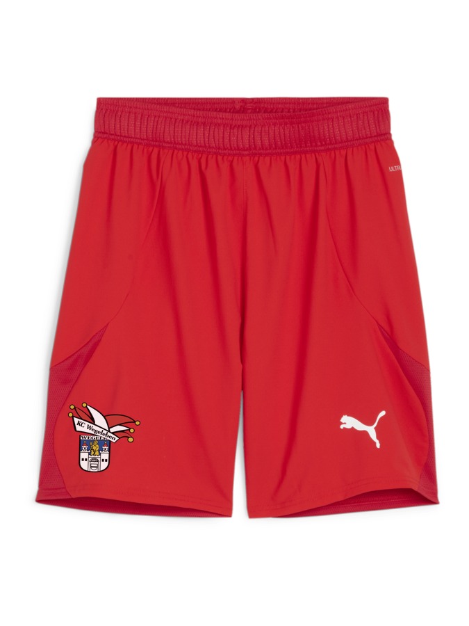 PUMA teamFINAL Shorts
