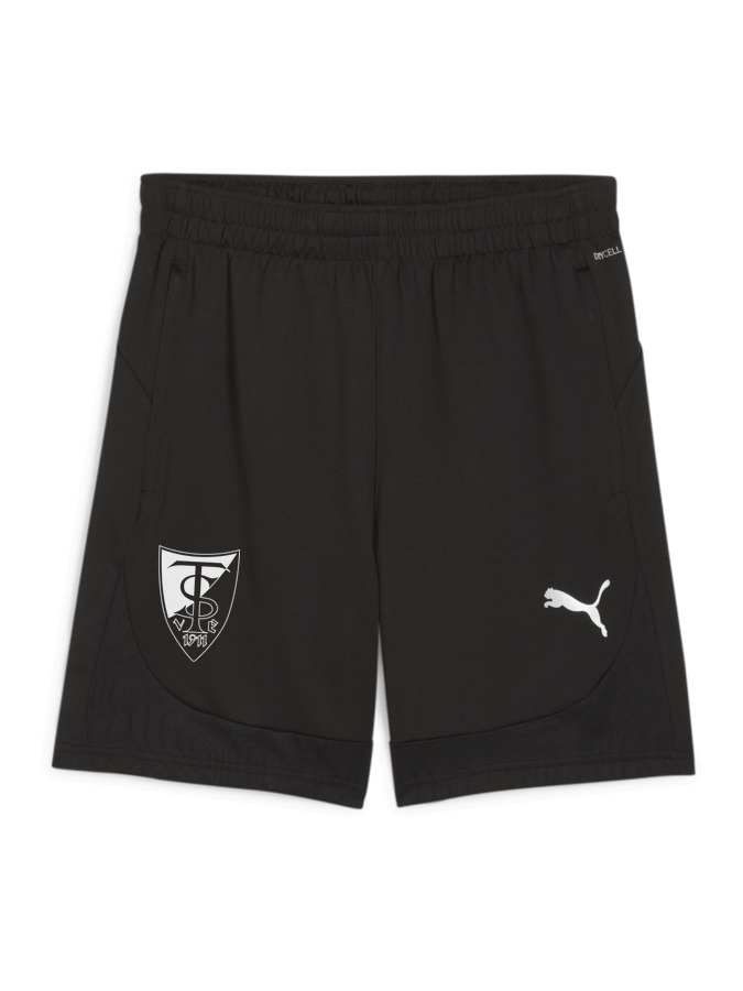 PUMA teamFINAL Training Shorts