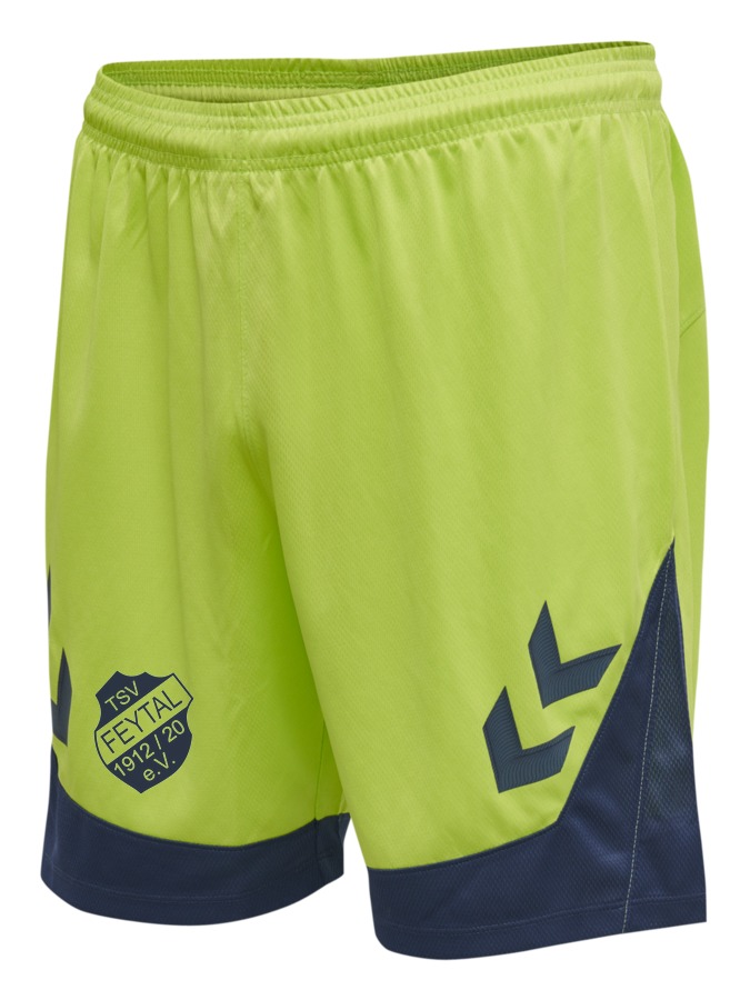 Hummel Lead Trainingsshorts
